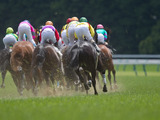 【日本ダービー／馬場情報】ソールオリエンスは位置取りがカギ　東京芝は「好位差し」がキーワード 画像