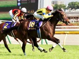 【有馬記念】枠順抽選会は本日17時よりライブ中継　タイトルホルダー、タスティエーラ、スターズオンアースら出走予定 画像