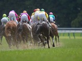 【金鯱賞／馬場情報】プログノーシスは「この馬場で届くのか？」　“逃げ馬天国”の開幕週・中京芝 画像