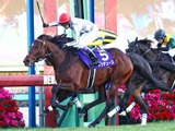 【ドバイターフ／馬単7点】「ドウデュース以上のベスト舞台」　“妙味たっぷり”のここでGI初制覇も視野 画像