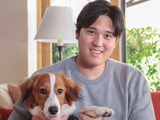 【MLB】「心強いサポーター」大谷翔平の愛犬・デコピンが本拠地デビュー、“おめかし”姿で球場内を散策 画像