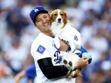 【MLB】大谷翔平の愛犬デコピン、決戦の地へ向かう背番号「17」の球場入りにド軍ファンも奮起「俺たちにはデコイがついている」 画像