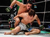【RIZIN】シェイドゥラエフは「UFCと契約する道を辿る」米専門メディアが展望　朝倉海、ケイプ、プロハースカに続く参戦なるか 画像