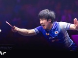 張本智和が5位キープで日本勢トップ、上位は今週も変動なし　TOP100入り日本勢は12選手｜卓球男子世界ランキング（2026年第5週） 画像