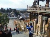 世界遺産の宝庫、奈良市内を1周！「ランde観光」3月14日開催…参加エントリーは10日まで 画像