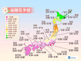 西・東日本は例年並～やや遅めの開花　ウェザーニューズ、2015年 第三回桜開花予想 画像