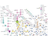 【LONDON STROLL】多民族都市ロンドン、地下鉄マップで多様性とコミュニティーの分布を表現 画像