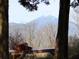 【小さな山旅】 浅間山のちょこっとハイク…浅間山（2） 画像