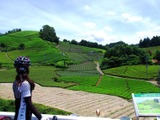 【自転車】9月開催、京都を走る「たびーら・宇治抹茶スウィーツ・ライド京都やましろ」試走レポート 画像
