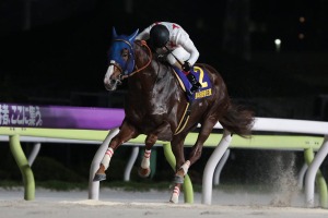 【帝王賞】ミッキーファイトが早め先頭から横綱相撲で優勝　鞍上は「未来のスーパースターホース」と太鼓判 画像
