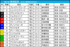 【新潟記念／枠順】他頭数なら8枠優勢が顕著　有力一角に「3.1.1.0」鉄板データの可能性浮上 画像