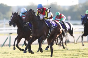 【エリザベス女王杯】ジョッキーカメラに見たレガレイラ・戸崎圭太のブレない映像に、ファン感嘆「ベリベリジョッキー」 画像