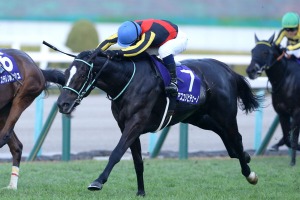 【マイルCS／危険な人気馬】マイルGI馬3強の一角に“黄信号”データ浮上　消しレベルの「1/63と0/4」 画像