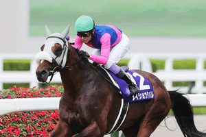 【有馬記念／サイン馬券】高市首相ばりに働く女傑レガレイラか、リアル・ロイヤルファミリーのメイショウタバルか 画像