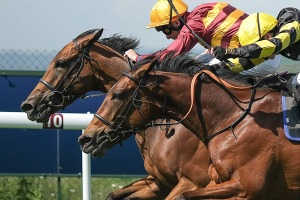 【有馬記念／穴ライズ】近2年の「伏兵扱い→激走」との共通点あり　前日“10人気”前後の盲点に漂う一発の気配 画像