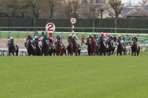 【フェアリーS／全頭診断】「単複回収値150超」で穴妙味感じる想定6人気以下　“押さえ程度が妥当”の前走重賞組は 画像