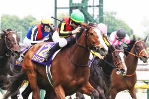 【中山記念／危険な人気馬】実績最上位に“勝率0％”の壁　「0.3.1.7」と「0.1.0.27」が物語るマイナス要素ずらり 画像