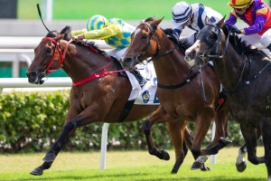 【大阪杯／全頭診断】豪華メンバーの中距離GI　ダービー馬2頭を差し置き「4.0.1.0」の伏兵に一発の期待 画像