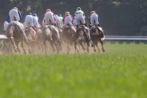 【オークス／馬場情報】直線は馬場の内目に痛みが目立つ土曜東京芝　内枠連対なしで狙いは外枠か 画像