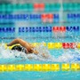 9月にジャパンパラ水泳競技大会が開催…グラスゴー世界水泳選手権メダリストが参戦