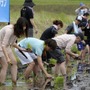 水田オーナーズクラブ、イベントのようす