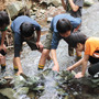 コールマン、子どものための自然体験イベント「冒険トレック」を5月開催