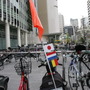 ベルギーとオランダの大使館を結ぶ都心部サイクリングでうららかな春を満喫