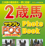 ダービー＆オークスを特集！競馬総合誌「サラブレ」発売