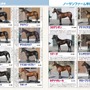 ダービー＆オークスを特集！競馬総合誌「サラブレ」発売