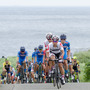 第85回全日本自転車競技選手権大会ロードレース（2016年6月26日）