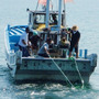 茨城県大洗町の海水浴場、7/16に海開き…サメ防護網設置