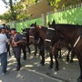 リオオリンピック開会式前のマラカナンスタジアムは警官がズラり…騎馬警官の姿も
