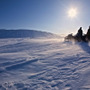 パウダースノーを走り抜ける「スノーモービルで行く雪上ツーリング」