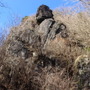 大仏岩。遠目からみると、たしかに大仏っぽい。