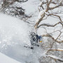 つがいけ高原スキー場、非圧雪エリア「TSUGAPOW DBD」利用者数600名突破
