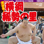 サンスポ特別版「祝誕生！ 第72代横綱 稀勢の里」発売