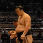 力士と触れあえる相撲イベント「OH！相撲 てんしば場所」3月開催