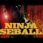 侍ジャパンを応援する動画「NINJA BASEBALLER」が100万回再生達成