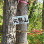 【小さな山旅】矢祭山の登り方…福島県・矢祭山（2）