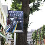 横浜市をはじめとして各自治体は自転車を取り巻く道路環境の整備に着手
