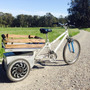 The Brizzly Electric Trike