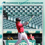 甲子園のバッターボックスでバッティング体験「阪神甲子園球場でフルスイング！！」開催