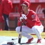 エンゼルス・大谷翔平【写真：西山和明】