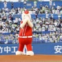 交流戦史上初の着ぐるみ始球式！ひょっこりはんがノーバン投球