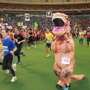 ナゴヤドームの人工芝の上を走る「Good Job ! ラック6時間リレーマラソン」9月開催