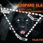 LEOPARD GLASS（レオパルド グラス）