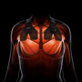 EMSで大胸筋を効率的に鍛える「SIXPAD Chest Fit」予約販売開始