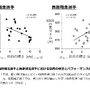 アスリートの筋肉の硬さが競技パフォーマンスに影響…順天堂