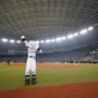 プロ野球マスコット図鑑 #02 ライナ（埼玉西武ライオンズ）