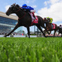 【競馬】朝日杯FS枠順データ「レッドベルオーブの4枠は過去10年で馬券圏内率わずか10％」